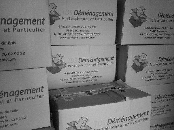 cartons-demenagement